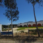 Vina de Liceaga - Ruta del Vino