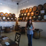 Vina de Liceaga - Ruta del Vino