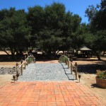 Vina de Liceaga - Ruta del Vino