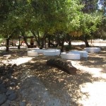 Vina de Liceaga - Ruta del Vino