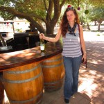 Vina de Liceaga - Ruta del Vino