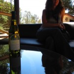 Vina de Liceaga - Ruta del Vino