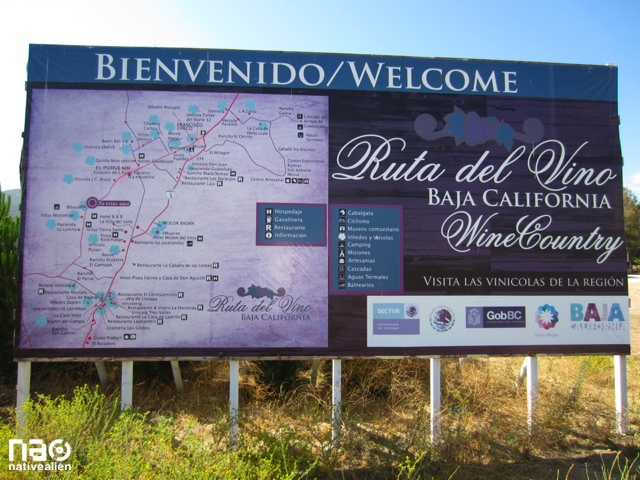 welcome_ruto_del_vino