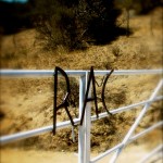 Rancho Agua Caliente Gate