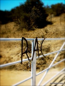 Rancho Agua Caliente Gate