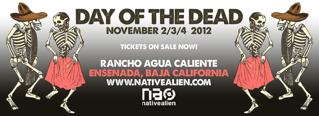 day of the dead banner ad