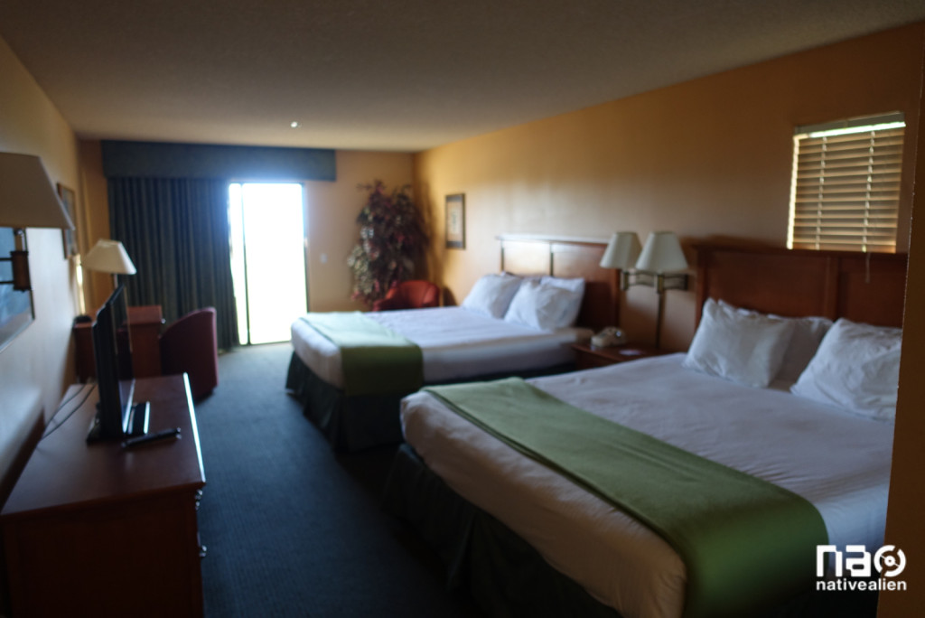 Miracle Springs King King Suite (blurry)